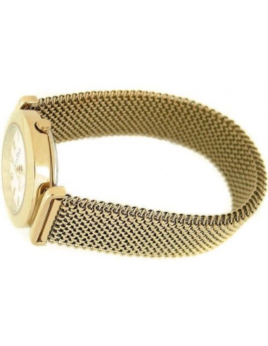 Ceas de dama Skagen 107SGG1