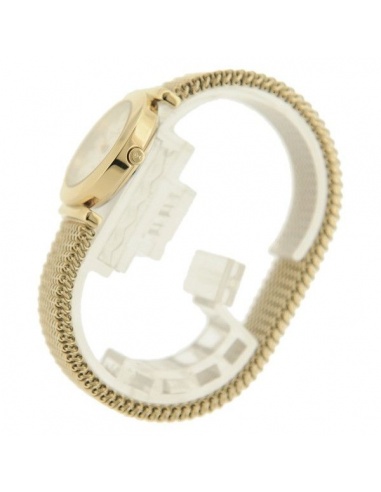 Ceas de dama Skagen 107SGG1