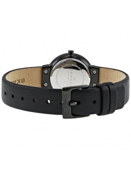 Ceas de dama Skagen Swarovski 456SBLB