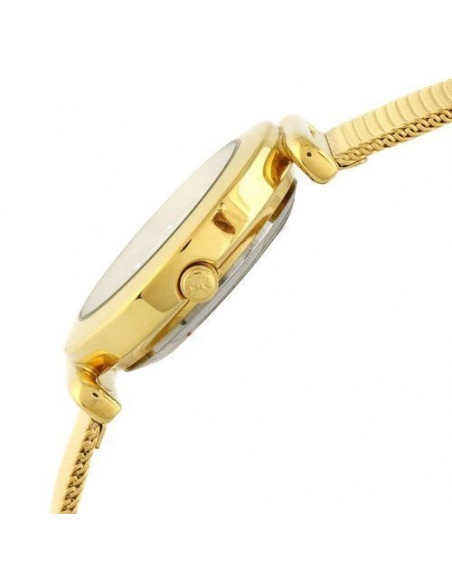 Ceas de dama Skagen 107SGGD