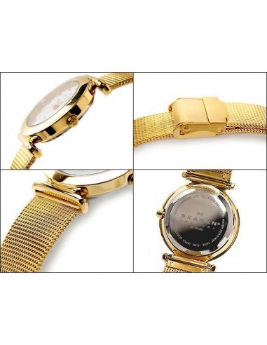 Ceas de dama Skagen 107SGGD