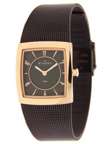 Ceas de dama Skagen 563XSRM