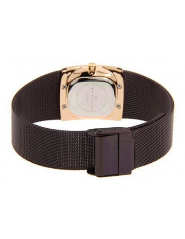 Ceas de dama Skagen 563XSRM