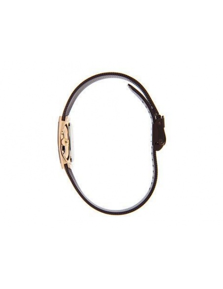 Ceas de dama Skagen 563XSRM