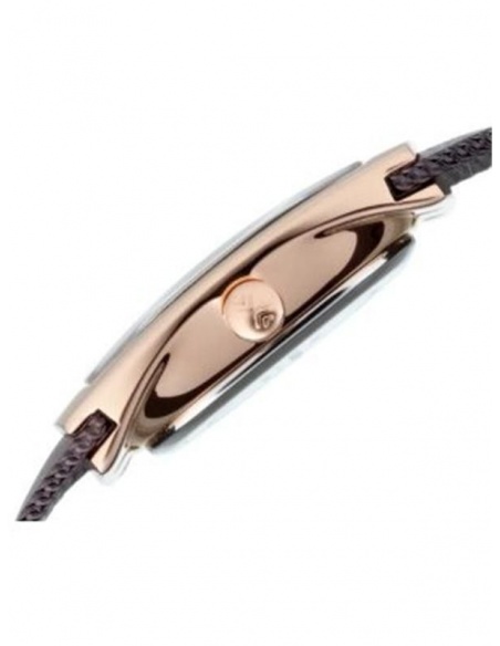Ceas de dama Skagen 563XSRM