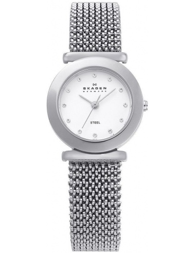 Ceas de dama Skagen 107SSSS1