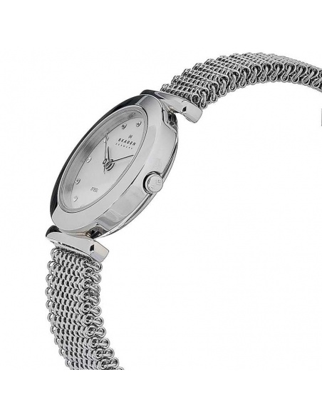 Ceas de dama Skagen 107SSSS1