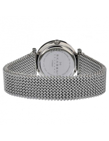 Ceas de dama Skagen 107SSSS1