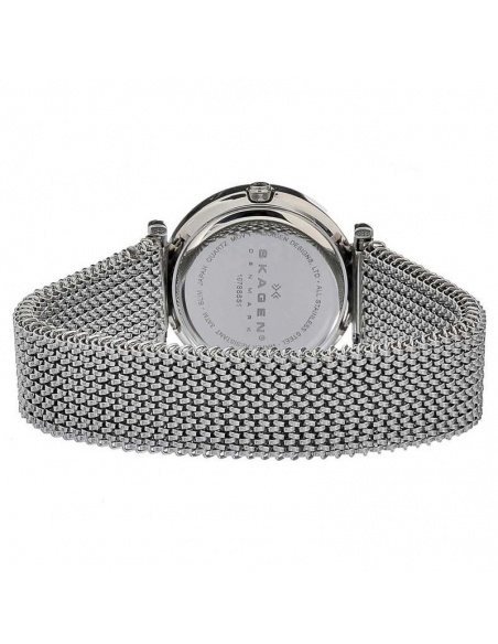 Ceas de dama Skagen 107SSSS1