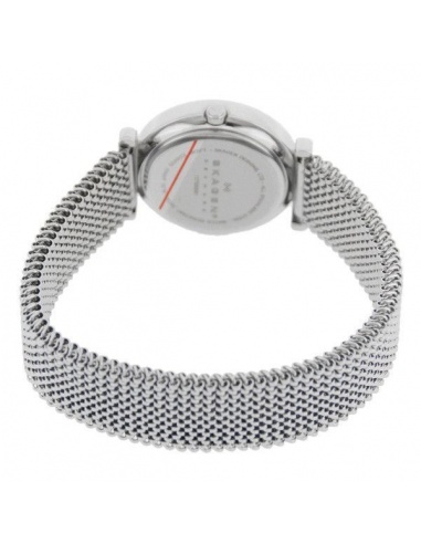 Ceas de dama Skagen 107SSSS1