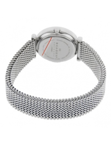 Ceas de dama Skagen 107SSSS1