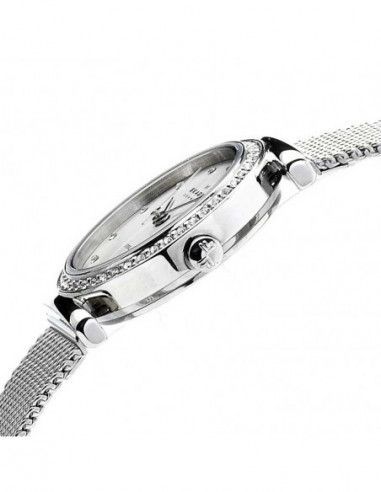 Ceas de dama Skagen 108SSS1