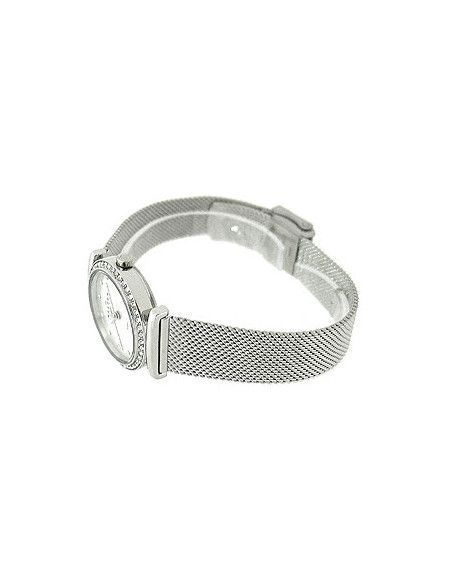 Ceas de dama Skagen 108SSS1