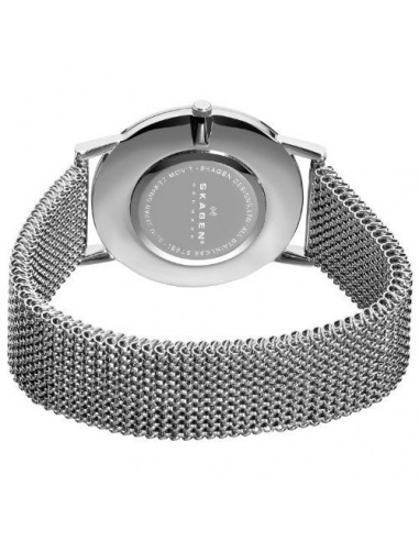 Ceas de dama Skagen 39LSSS1