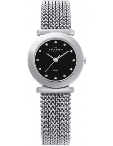 Ceas de dama Skagen 107SSSB1