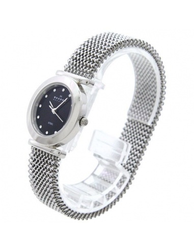 Ceas de dama Skagen 107SSSB1