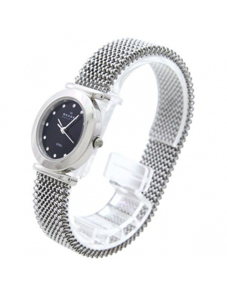 Ceas de dama Skagen 107SSSB1