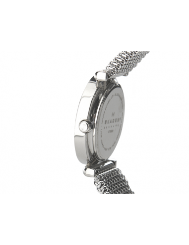 Ceas de dama Skagen 107SSSB1
