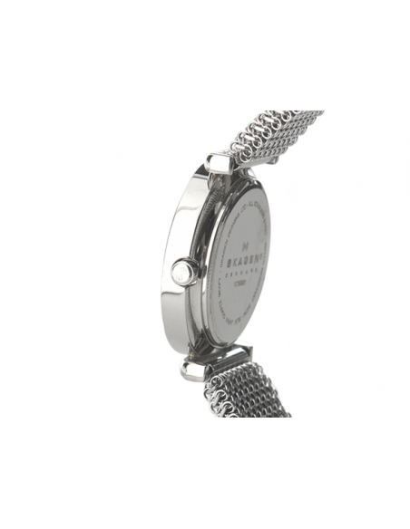 Ceas de dama Skagen 107SSSB1
