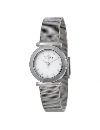 Ceas de dama Skagen Mesh 107SSSD