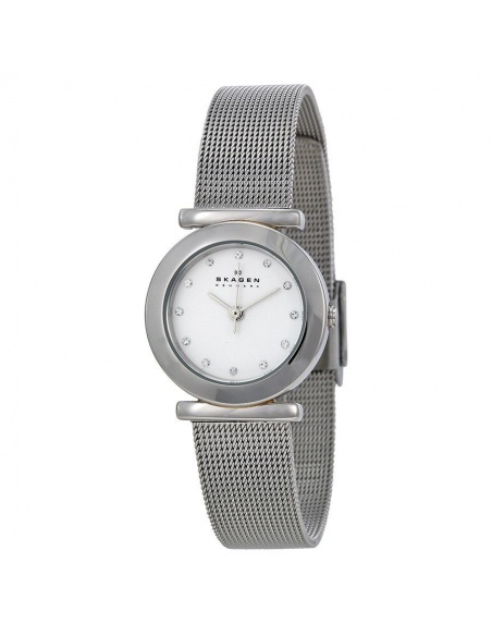 Ceas de dama Skagen Mesh 107SSSD