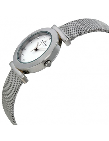 Ceas de dama Skagen Mesh 107SSSD