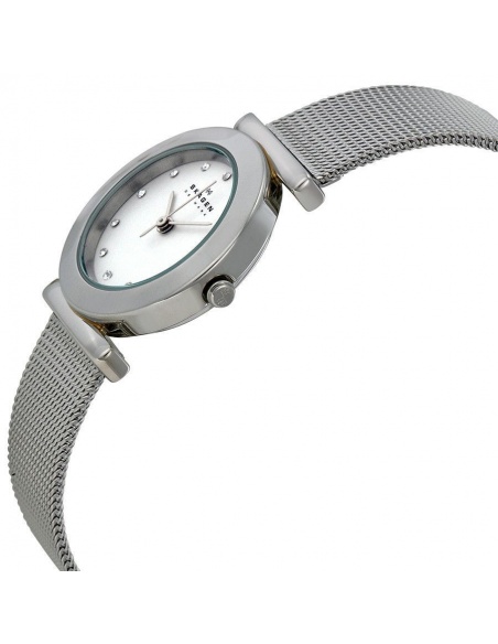 Ceas de dama Skagen Mesh 107SSSD