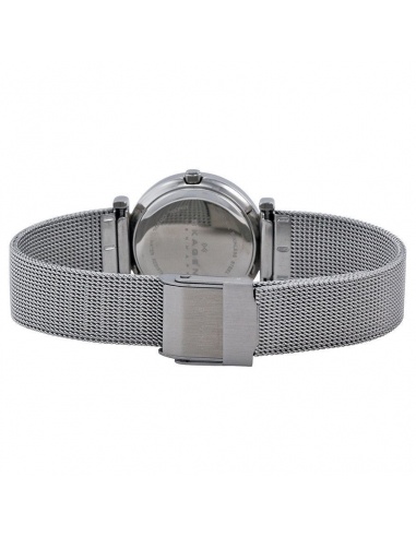 Ceas de dama Skagen Mesh 107SSSD