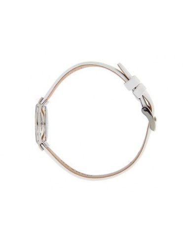 Ceas de dama Skagen 358XSSLWW