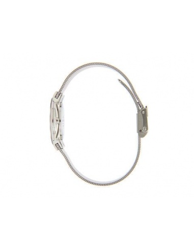 Ceas de dama Skagen 358SGSC
