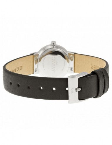 Ceas de dama Skagen Swarovski 358XSSLBC