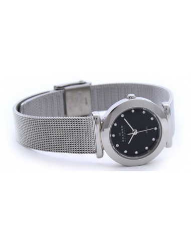 Ceas de dama Skagen 107SSSBD
