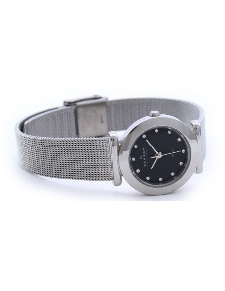 Ceas de dama Skagen 107SSSBD