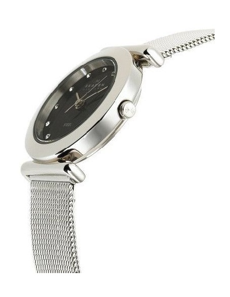 Ceas de dama Skagen 107SSSBD