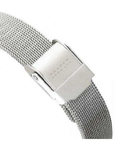 Ceas de dama Skagen 107SSSBD
