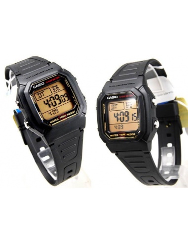 Ceas barbatesc Casio W800HG-9AV