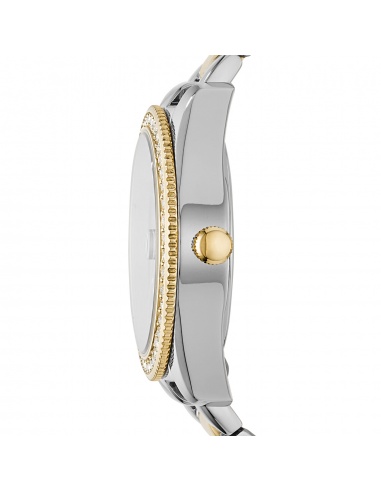 Ceas de dama Fossil Scarlette ES4319