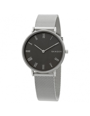 Ceas de dama Skagen Hald SKW2677