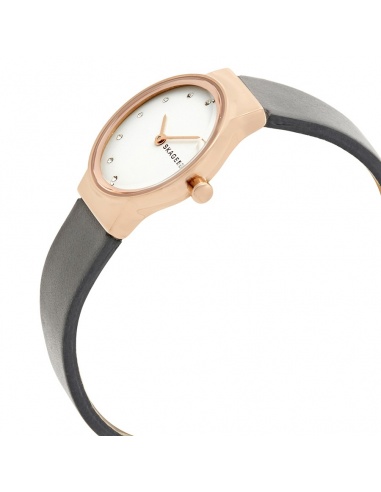 Ceas de dama Skagen Freja SKW2669