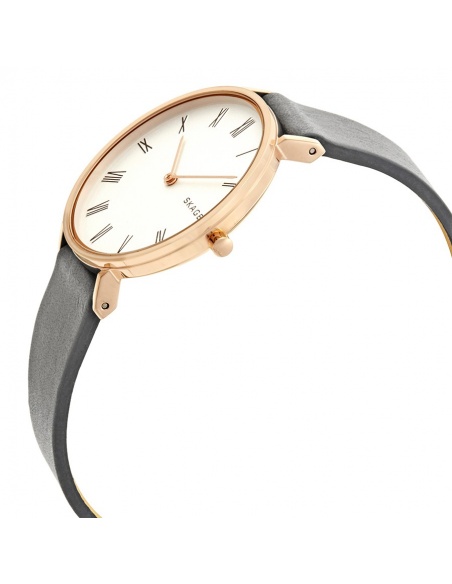 Ceas de dama Skagen Hald SKW2674