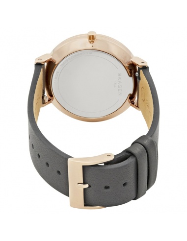 Ceas de dama Skagen Hald SKW2674