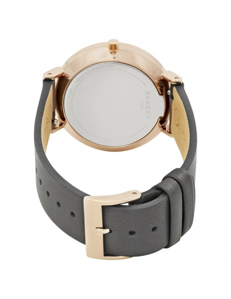 Ceas de dama Skagen Hald SKW2674
