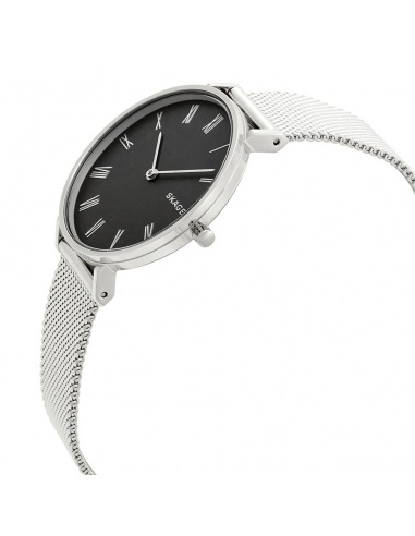 Ceas de dama Skagen Hald SKW2677