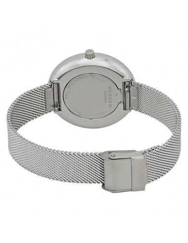 Ceas de dama Skagen Signature SKW2623