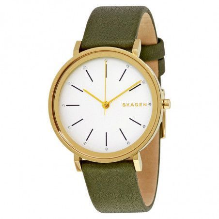 Ceas de dama Skagen Hald SKW2491