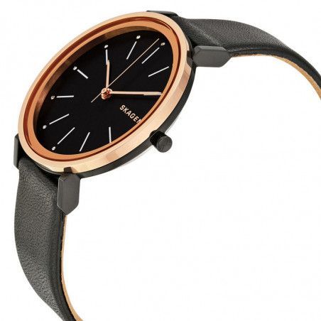 Ceas de dama Skagen Hald SKW2490
