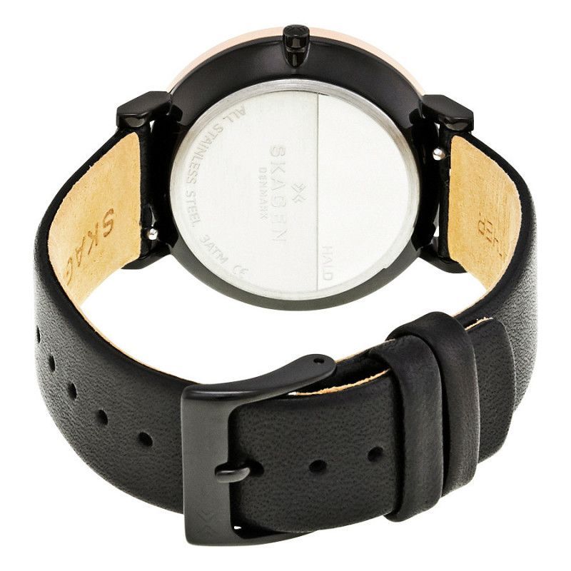 Ceas de dama Skagen Hald SKW2490