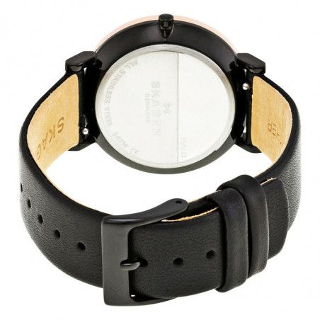 Ceas de dama Skagen Hald SKW2490