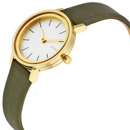 Ceas de dama Skagen Hald SKW2495