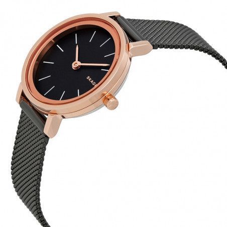 Ceas de dama Skagen Hald SKW2492
